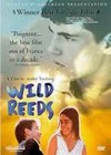 Wild Reeds (1994)2.jpg